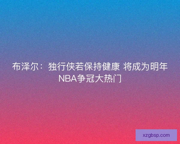 布泽尔：独行侠若保持健康 将成为明年NBA争冠大热门
