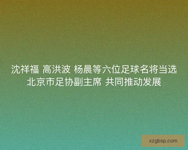 沈祥福 高洪波 杨晨等六位足球名将当选北京市足协副主席 共同推动发展 沈祥福 高洪波 杨晨等六位足球名将当选北京市足协副主席 共同推动发展