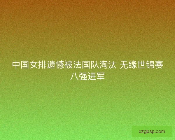 中国女排遗憾被法国队淘汰 无缘世锦赛八强进军