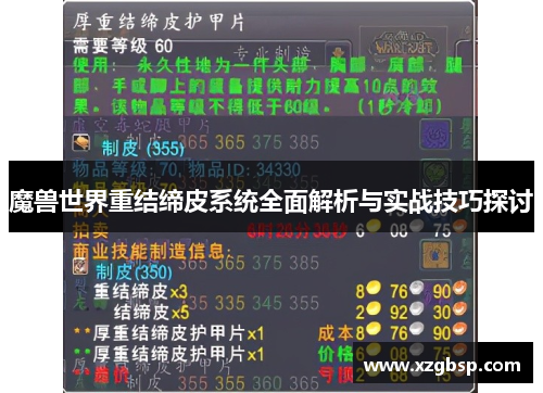 魔兽世界重结缔皮系统全面解析与实战技巧探讨